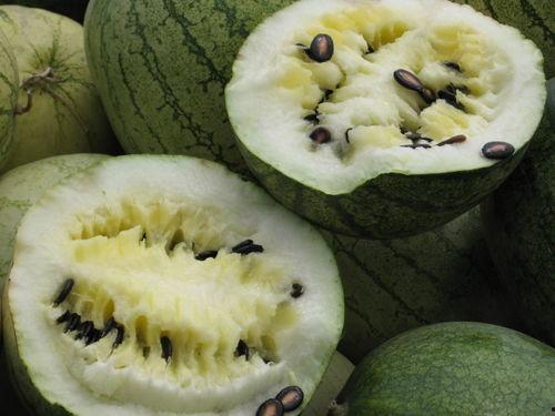 吃瓜网 - 免费吃瓜 黑料不详,免费吃瓜，黑料详情尽在其中