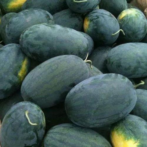 星野吃瓜黑料